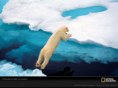 wallpapers national geographic. wallpapers national geographic